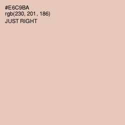#E6C9BA - Just Right Color Image